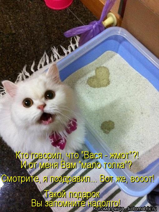 Кто говорил, что "Вася - жмот"?! И от меня Вам "мало толка"? Смотрите, я поздравил... Вот же, вооот! ... Котоматрица: Кто говорил, что "Вася - жмот"?! И от меня Вам "мало толка"? Смотрите, я поздравил... Вот же, вооот! Такой подарок Вы запомните надолго!