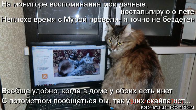 Котоматрица: На мониторе воспоминания мои дачные,  ностальгирую о лете Неплохо время с Мурой провели- я точно не бездетен Вообще удобно, когда в доме у об
