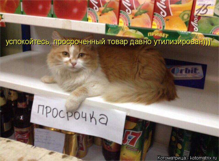 Котоматрица: успокойтесь, просроченный товар давно утилизирован)))
