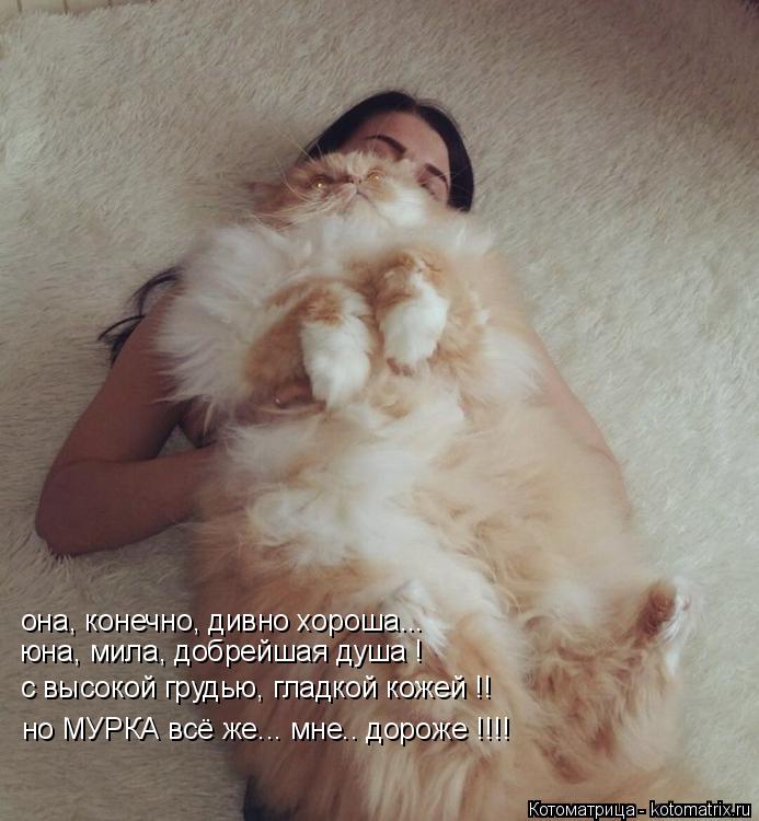 Котоматрица: она, конечно, дивно хороша... юна, мила, добрейшая душа ! с высокой грудью, гладкой кожей !! но МУРКА всё же... мне.. дороже !!!!