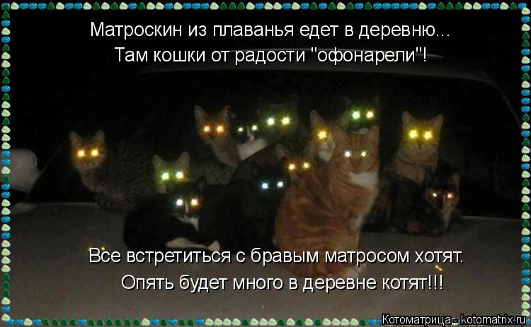 Котоматрица: Матроскин из плаванья едет в деревню... Все встретиться с бравым матросом хотят. Опять будет много в деревне котят!!! Там кошки от радости "оф