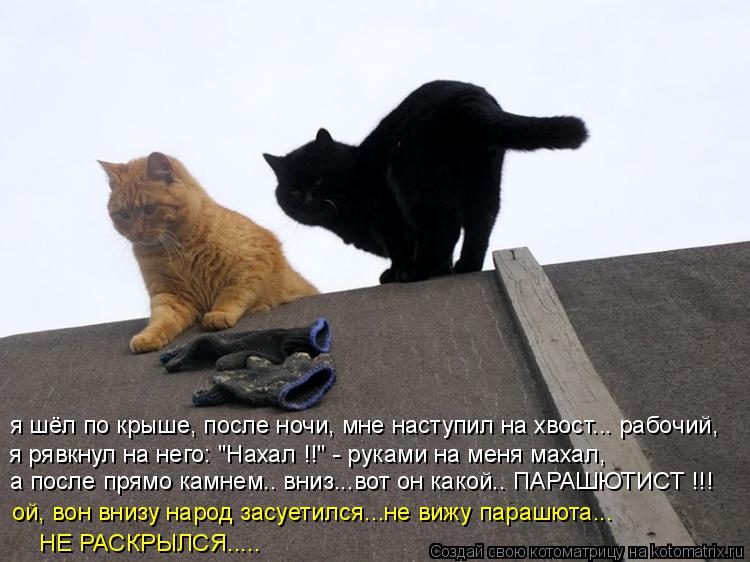 Котоматрица: я шёл по крыше, после ночи, мне наступил на хвост... рабочий, я рявкнул на него: "Нахал !!" - руками на меня махал, а после прямо камнем.. вниз...вот 