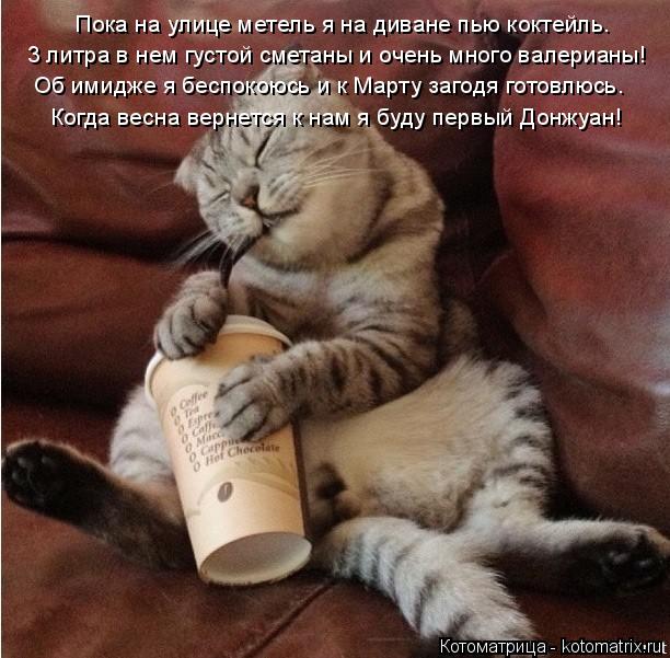 Котоматрица: 3 литра в нем густой сметаны и очень много валерианы! Когда весна вернется к нам я буду первый Донжуан! Об имидже я беспокоюсь и к Марту загод