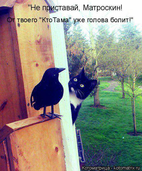 "Не приставай, Матроскин! От твоего "КтоТама" уже голова болит!"... Котоматрица: "Не приставай, Матроскин! От твоего "КтоТама" уже голова болит!"