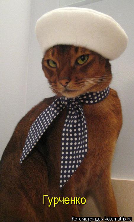 Котоматрица: Гурченко