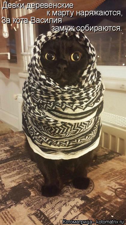 Котоматрица: Девки деревенские  к марту наряжаются,  За кота Василия  замуж собираются.