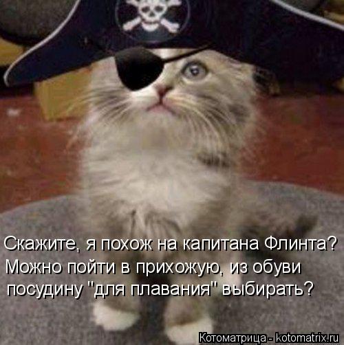 Скажите, я похож на капитана Флинта? Можно пойти в прихожую, из обуви посудину "для плавания" выбират... Котоматрица: Скажите, я похож на капитана Флинта? Можно пойти в прихожую, из обуви посудину "для плавания" выбирать?