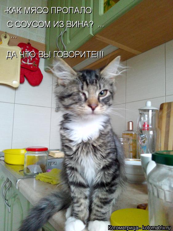 Котоматрица: -КАК МЯСО ПРОПАЛО  С СОУСОМ ИЗ ВИНА? ДА ЧТО ВЫ ГОВОРИТЕ!!! ... ...