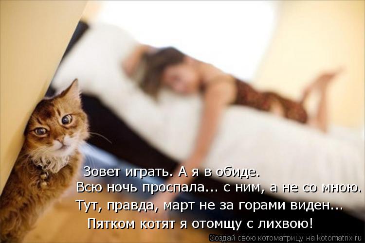 Котоматрица: Зовет играть. А я в обиде. Всю ночь проспала... с ним, а не со мною. Тут, правда, март не за горами виден... Пятком котят я отомщу с лихвою!