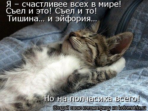 Котоматрица: Я – счастливее всех в мире! Съел и это! Съел и то! Тишина… и эйфория… Но на полчасика всего!