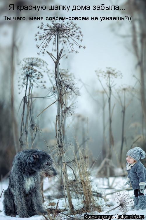 -Я красную шапку дома забыла... Ты чего..меня совсем-совсем не узнаешь?((... Котоматрица: -Я красную шапку дома забыла... Ты чего..меня совсем-совсем не узнаешь?((