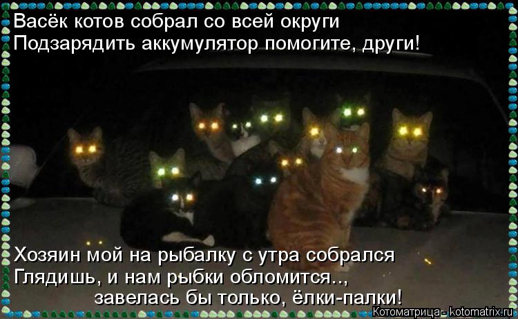 Котоматрица: Васёк котов собрал со всей округи Подзарядить аккумулятор помогите, други! Хозяин мой на рыбалку с утра собрался  Глядишь, и нам рыбки облом