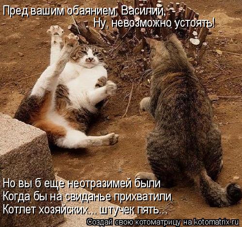 Котоматрица: Пред вашим обаянием, Василий,  Ну, невозможно устоять! Но вы б еще неотразимей были Когда бы на свиданье прихватили Котлет хозяйских... штуче