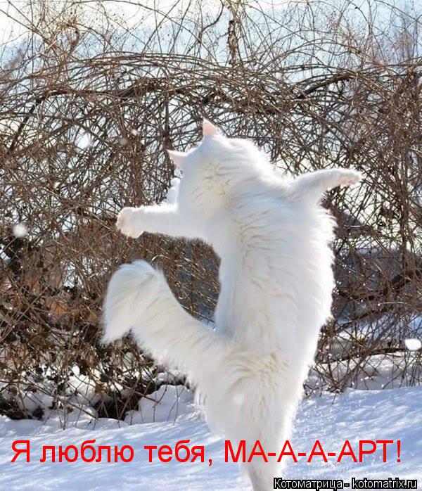Котоматрица: Я люблю тебя, МА-А-А-АРТ!
