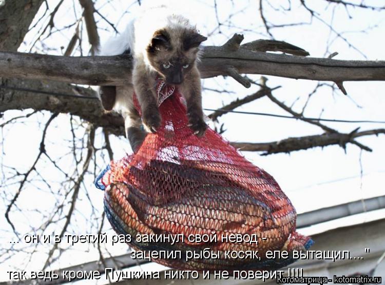 ... он и в третий раз закинул свой невод - зацепил рыбы косяк, еле вытащил...." так ведь кроме Пушки... Котоматрица: ... он и в третий раз закинул свой невод - зацепил рыбы косяк, еле вытащил...." так ведь кроме Пушкина никто и не поверит !!!!