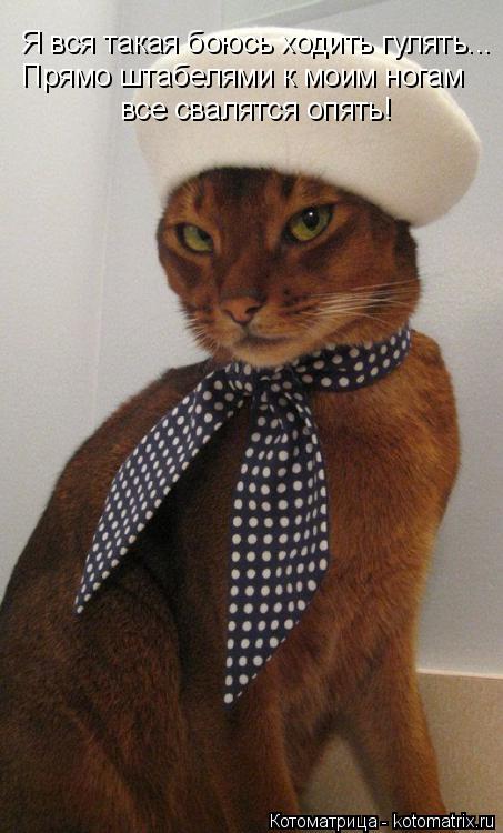 Котоматрица: Я вся такая боюсь ходить гулять... Прямо штабелями к моим ногам  все свалятся опять!