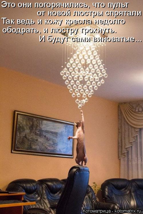 Котоматрица: Это они погорячились, что пульт от новой люстры спрятали Так ведь и кожу кресла недолго ободрать, и люстру грохнуть. И будут сами виноватые..