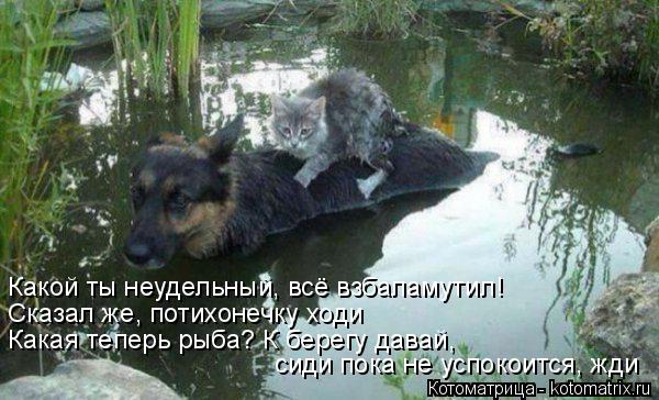 Котоматрица: Какой ты неудельный, всё взбаламутил! Сказал же, потихонечку ходи Какая теперь рыба? К берегу давай, сиди пока не успокоится, жди