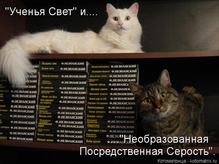 ...."Необразованная Посредственная Серость". "Ученья Свет" и....... Котоматрица: ...."Необразованная Посредственная Серость". "Ученья Свет" и....