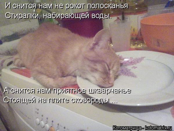 И снится нам не рокот полосканья Стиралки, набирающей воды. А снится нам приятное шкварчанье Стоящей ... Котоматрица: И снится нам не рокот полосканья Стиралки, набирающей воды. А снится нам приятное шкварчанье Стоящей на плите сковороды ...