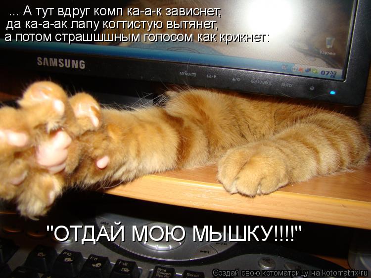 ... А тут вдруг комп ка-а-к зависнет, да ка-а-ак лапу когтистую вытянет, а потом страшшшным голосом к... Котоматрица: ... А тут вдруг комп ка-а-к зависнет, да ка-а-ак лапу когтистую вытянет, а потом страшшшным голосом как крикнет: "ОТДАЙ МОЮ МЫШКУ!!!!"