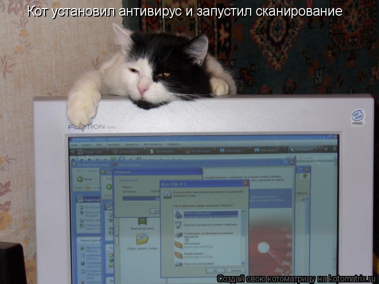 Котоматрица: Кот установил антивирус и запустил сканирование