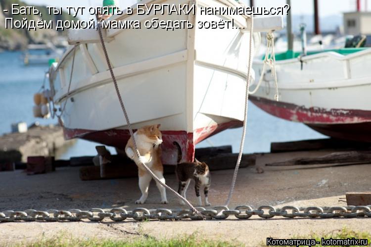 Пойдём домой, мамка обедать зовёт!... - Бать, ты тут опять в БУРЛАКИ нанимаешься?... Котоматрица: Пойдём домой, мамка обедать зовёт!... - Бать, ты тут опять в БУРЛАКИ нанимаешься?