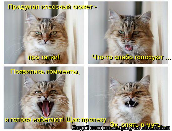 Придумал классный сюжет - про тапки! Что-то слабо голосуют ... Появились комменты, и ... Котоматрица: Придумал классный сюжет - про тапки! Что-то слабо голосуют ... Появились комменты, и голоса набегают! Щас пролезу ... Эх, опять в муть...