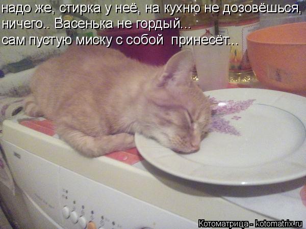надо же, стирка у неё, на кухню не дозовёшься, ничего.. Васенька не гордый... сам пустую миску с соб... Котоматрица: надо же, стирка у неё, на кухню не дозовёшься, ничего.. Васенька не гордый... сам пустую миску с собой принесёт...