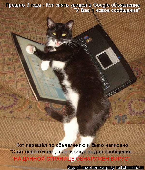 Котоматрица: Прошло 3 года - Кот опять увидел в Google объявление "У Вас 1 новое сообщение" Кот перешёл по объявлению и было написано "Сайт недоступен", а антив