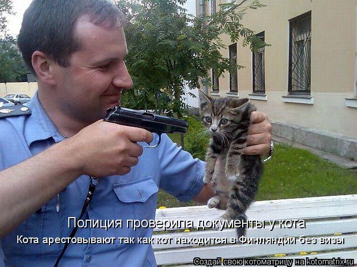 Полиция проверила документы у кота Кота арестовывают так как кот находится в Финляндии без визы... Котоматрица: Полиция проверила документы у кота Кота арестовывают так как кот находится в Финляндии без визы
