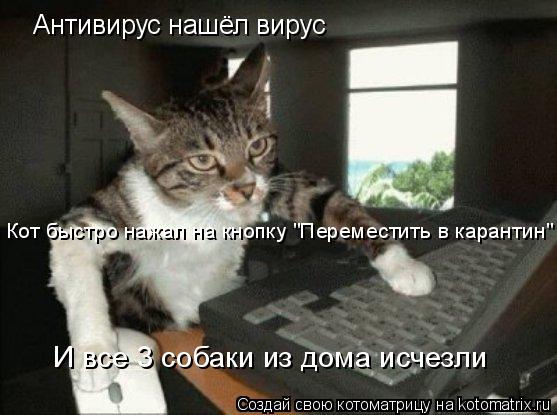 Котоматрица: Антивирус нашёл вирус Кот быстро нажал на кнопку "Переместить в карантин" И все 3 собаки из дома исчезли