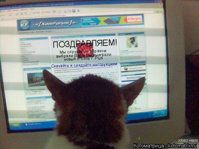 ПОЗДРАВЛЯЕМ! Мы случайным образом выбрали Вас и Вы выиграли новый iPhone 7 Plus Скачайте и следуйте и... Котоматрица: ПОЗДРАВЛЯЕМ! Мы случайным образом выбрали Вас и Вы выиграли новый iPhone 7 Plus Скачайте и следуйте инструкциям