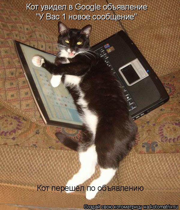 Кот увидел в Google объявление "У Вас 1 новое сообщение" Кот перешёл по объявлению... Котоматрица: Кот увидел в Google объявление "У Вас 1 новое сообщение" Кот перешёл по объявлению