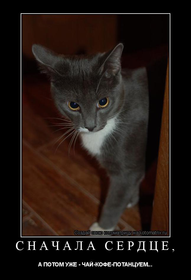 Котоматрица: СНАЧАЛА СЕРДЦЕ,  А ПОТОМ УЖЕ - ЧАЙ-КОФЕ-ПОТАНЦУЕМ...