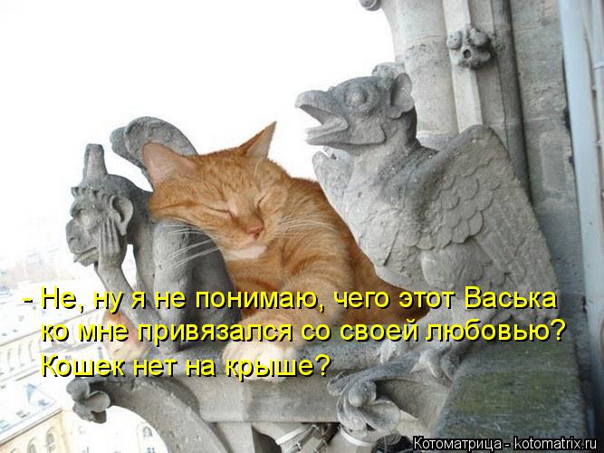 Котоматрица: - Не, ну я не понимаю, чего этот Васька  ко мне привязался со своей любовью? Кошек нет на крыше?