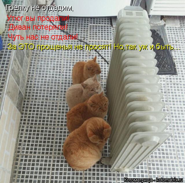 Котоматрица: Грелку не отдадим, Утюг вы продали! Диван потеряли! Чуть нас не отдали! За ЭТО прощенья не просят! Но,так уж и быть...