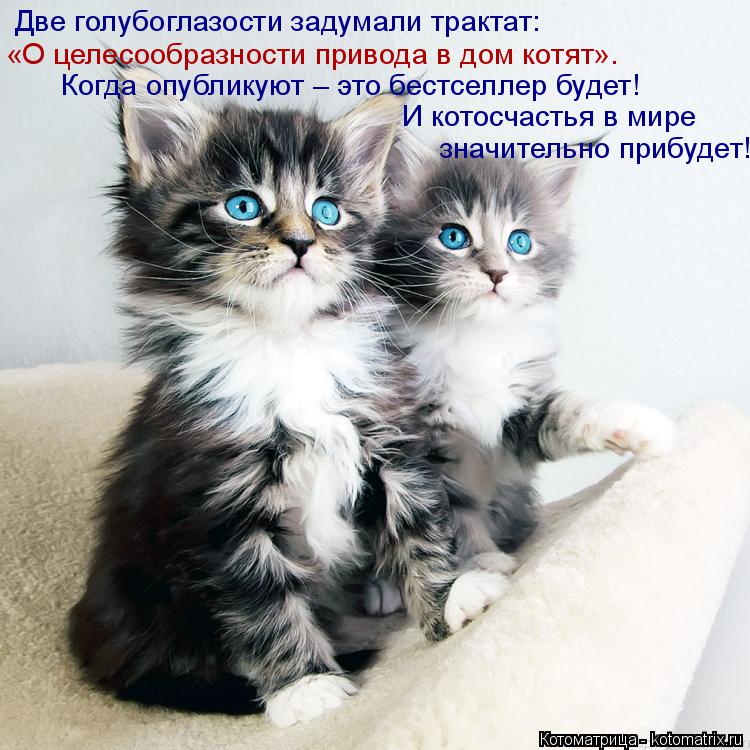 :    :      .      !    