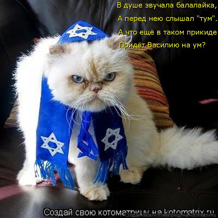 Котоматрица: А что ещё в таком прикиде А перед нею слышал "тум". В душе звучала балалайка, Придёт Василию на ум?