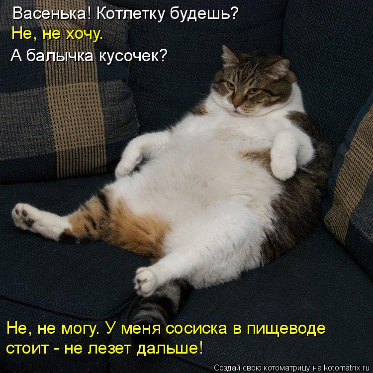 Котоматрица: Васенька! Котлетку будешь? Не, не хочу. А балычка кусочек? Не, не могу. У меня сосиска в пищеводе стоит - не лезет дальше!