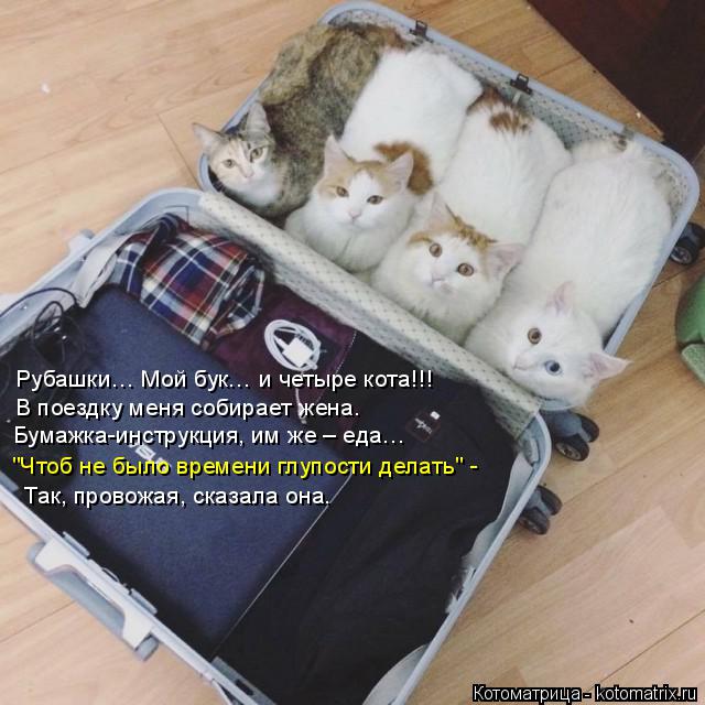 Котоматрица: Рубашки… Мой бук… и четыре кота!!! В поездку меня собирает жена. Бумажка-инструкция, им же – еда… "Чтоб не было времени глупости делать" - Та