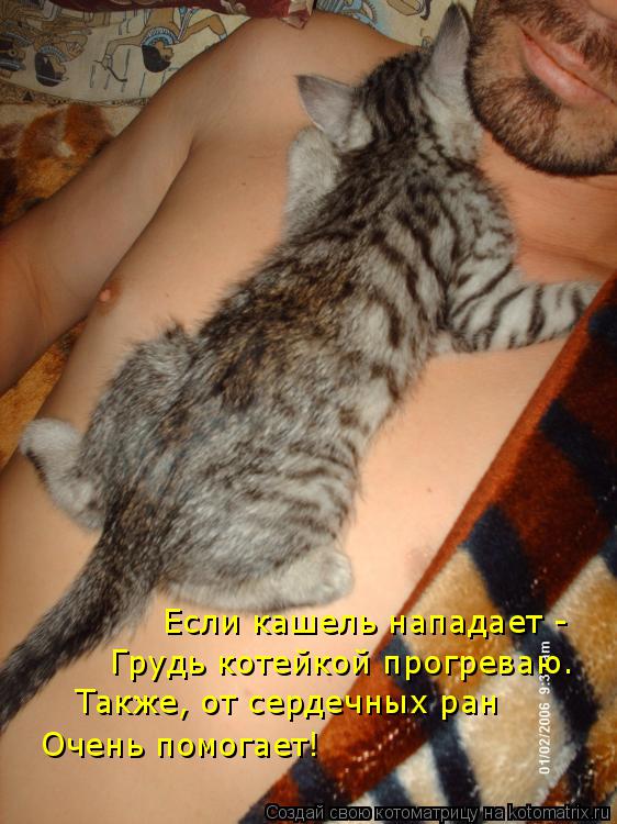 Котоматрица: Если кашель нападает - Грудь котейкой прогреваю. Также, от сердечных ран  Очень помогает!