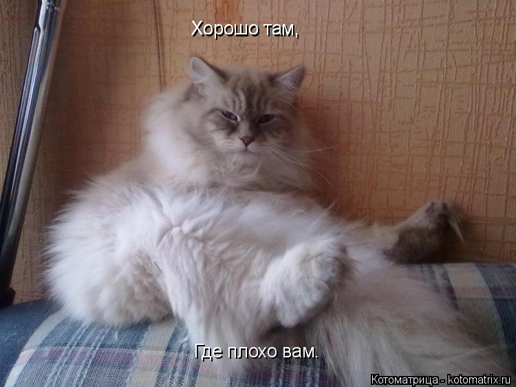 :  ,  ,  ,   .