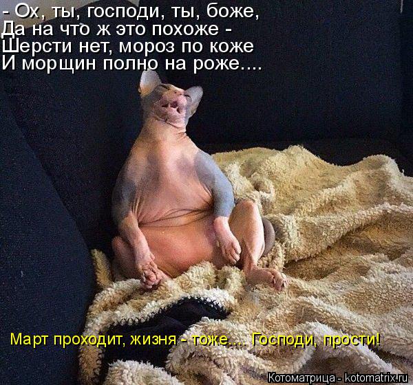 Шерсти нет, мороз по коже Март проходит, жизня - тоже.... Господи, прости! Да на что ж это похоже - ... Котоматрица: Шерсти нет, мороз по коже Март проходит, жизня - тоже.... Господи, прости! Да на что ж это похоже - - Ох, ты, господи, ты, боже, И морщин полно на ро