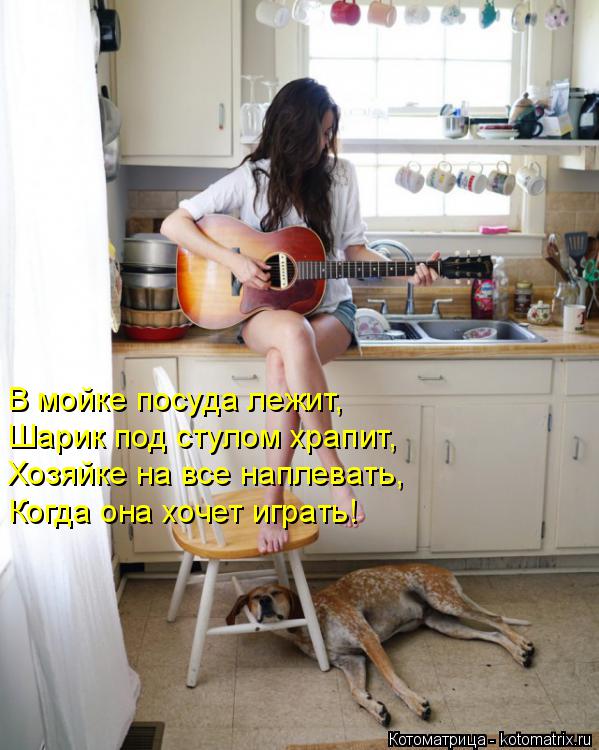 Котоматрица: В мойке посуда лежит, Шарик под стулом храпит, Хозяйке на все наплевать, Когда она хочет играть!