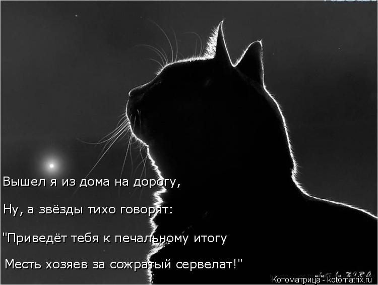 Котоматрица: Месть хозяев за сожратый сервелат!" "Приведёт тебя к печальному итогу Ну, а звёзды тихо говорят: Вышел я из дома на дорогу,