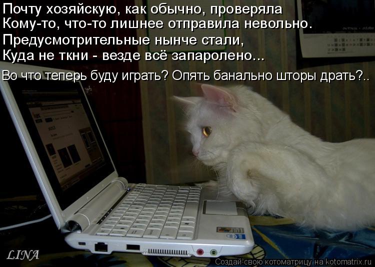 Котоматрица: Предусмотрительные нынче стали, Куда не ткни - везде всё запаролено... Во что теперь буду играть? Опять банально шторы драть?.. Почту хозяйску