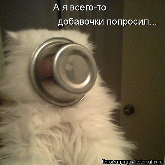 Котоматрица: А я всего-то добавочки попросил...