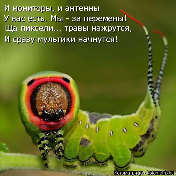 Котоматрица: И мониторы, и антенны  У нас есть. Мы - за перемены! Ща пиксели... травы нажрутся, И сразу мультики начнутся!