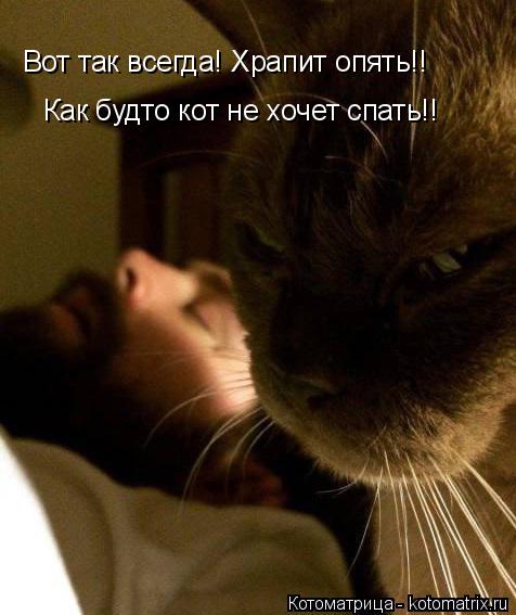 Котоматрица: Вот так всегда! Храпит опять!! Как будто кот не хочет спать!!